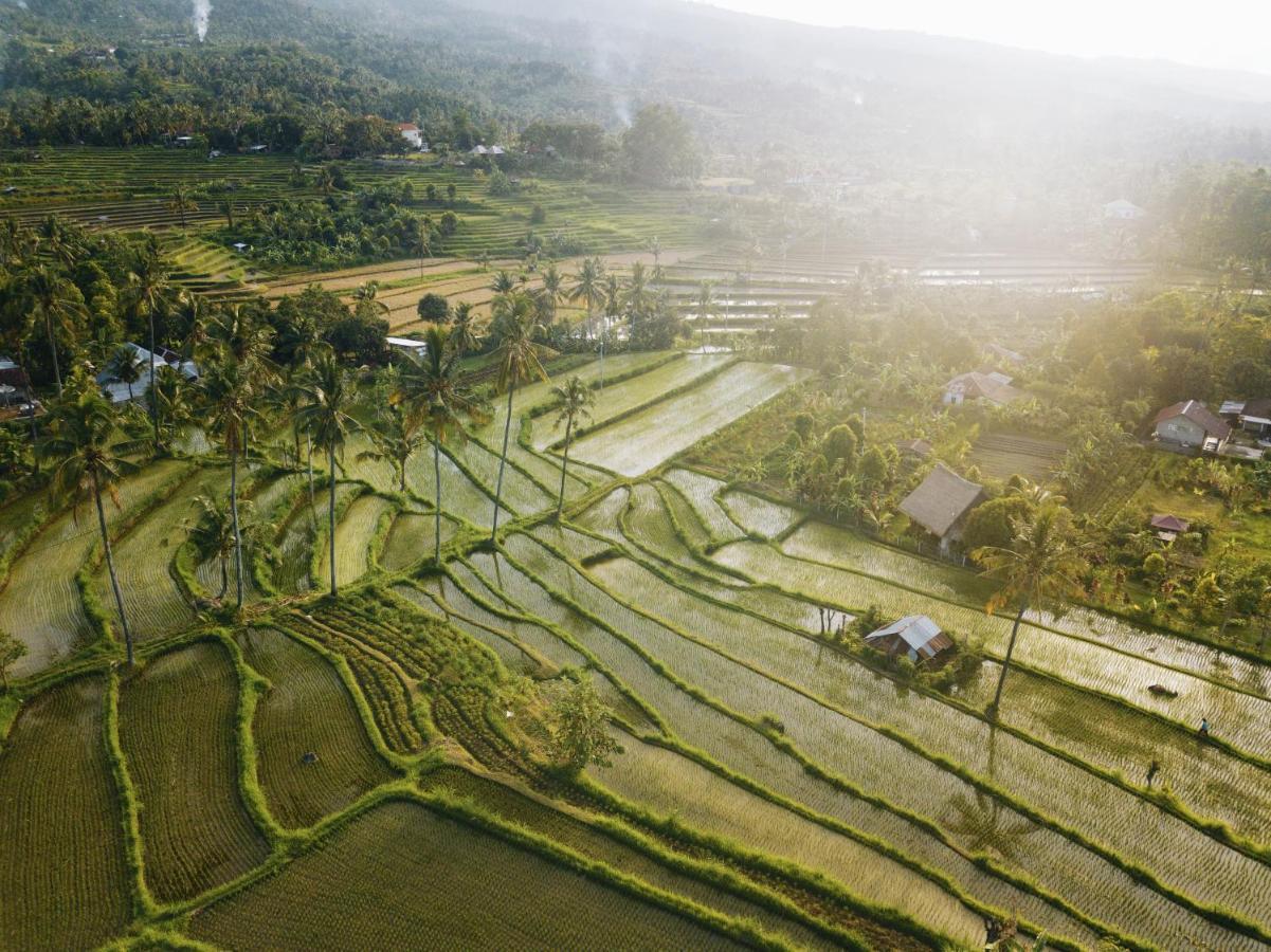 Maha Hills Resort By Mahaprana Experience ロヴィーナ エクステリア 写真